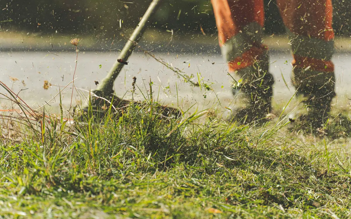 A groundskeeper mowing a lawn on a sunny day